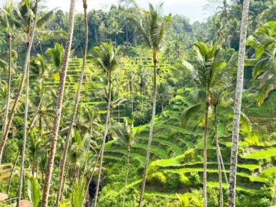 Requisitos para viajar a Bali: TODO lo que necesitas saber