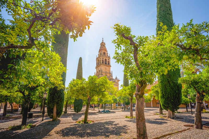 Visitar la Mezquita de Córdoba con una visita guiada: nuestra experiencia en un tour guiado