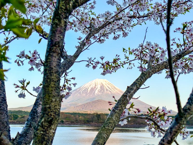 Cómo ir al Monte Fuji desde Tokio: en tren