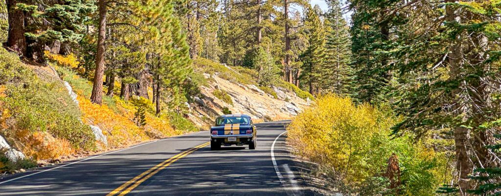 Coche recorriendo una carretera por Yosemite en una ruta por la Costa Oeste