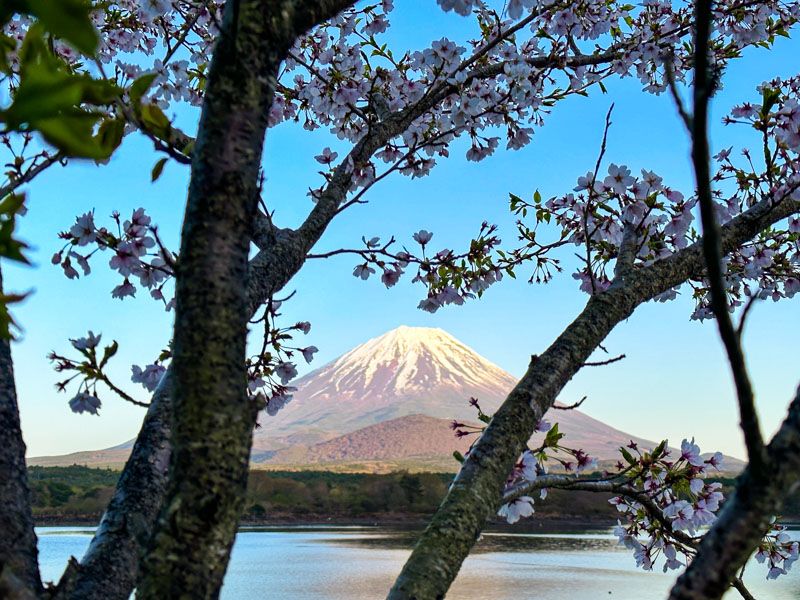 Visitar el monte Fuji desde Tokio por libre: vistas desde el lago Shoji