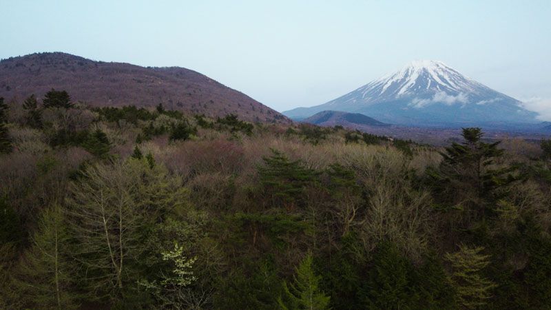 Visitar el monte Fuji desde Tokio por libre