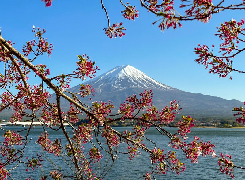 Visitar el monte Fuji desde Tokio por libre: ruta en coche, cómo llegar, qué ver e info útil