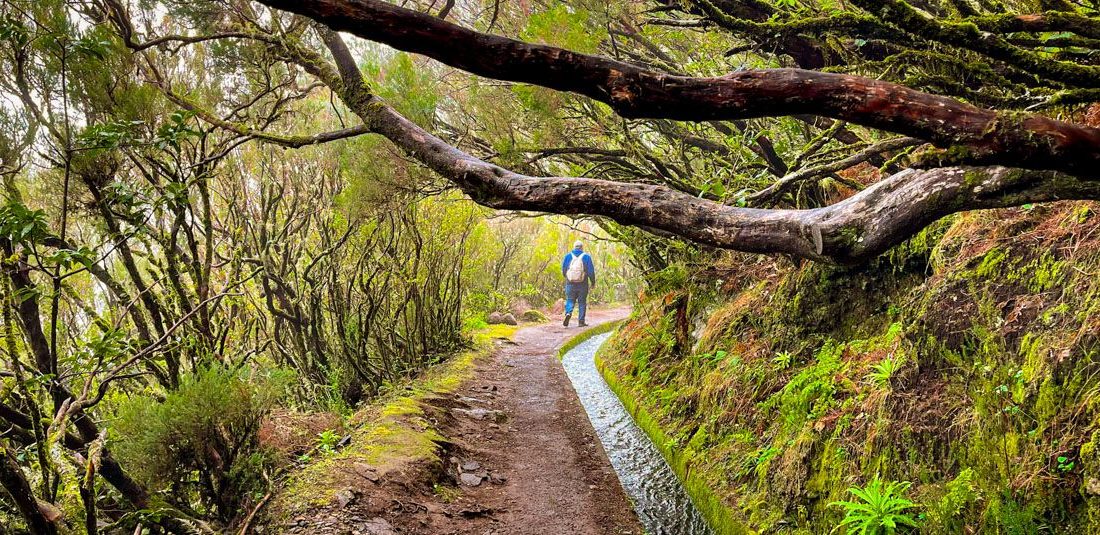 ▷ Las 10 mejores levadas de Madeira: mapa + info rutas