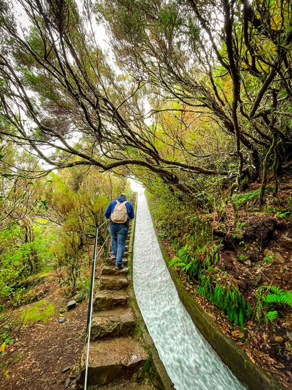 Las 10 mejores levadas de Madeira: levada do Alecrim