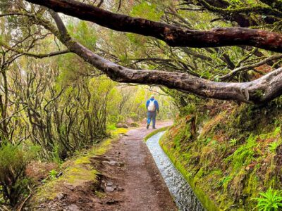 ▷Las 10 mejores levadas de Madeira | Mapa + info rutas