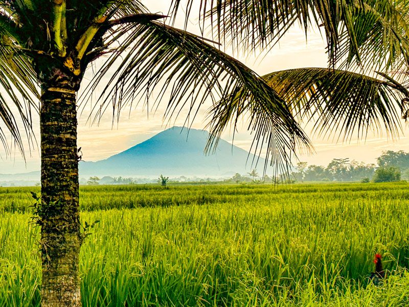 Es fundamental que contrates un seguro de viaje para Bali - Cómo tener internet en Bali