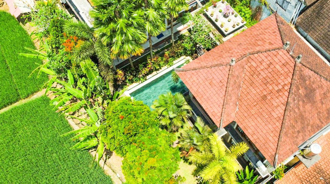 ▷ Dónde alojarse en Ubud: las MEJORES zonas para dormir y hoteles recomendados