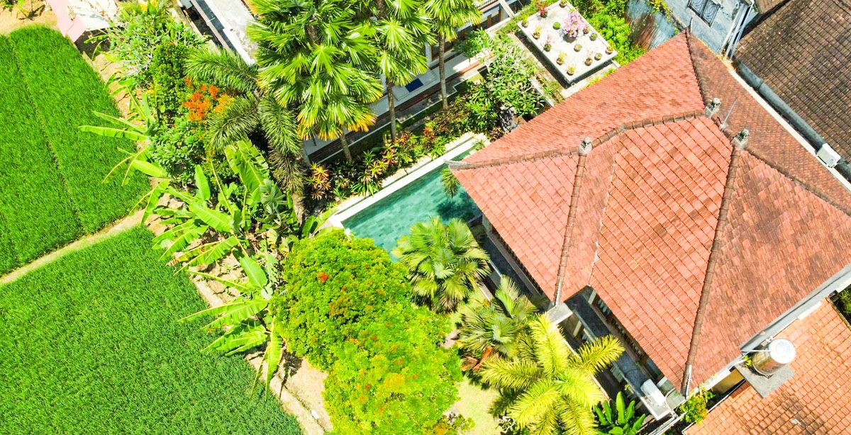 Dónde alojarse en Ubud: las MEJORES zonas y hoteles