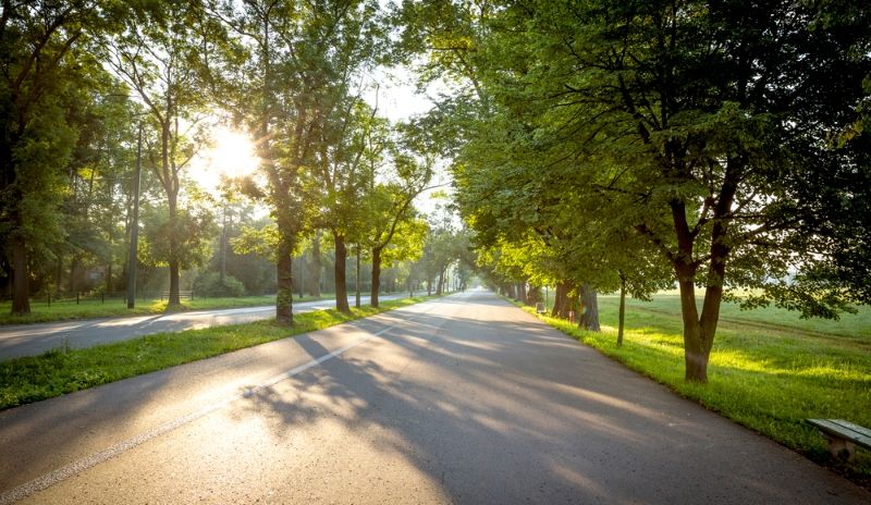 Dónde alojarse en Cracovia: cerca del Parque Blonia