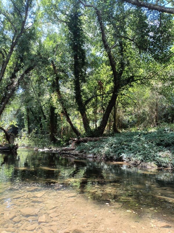 Qué ver en la provincia de Sevilla: Parque Natural de la Sierra Norte