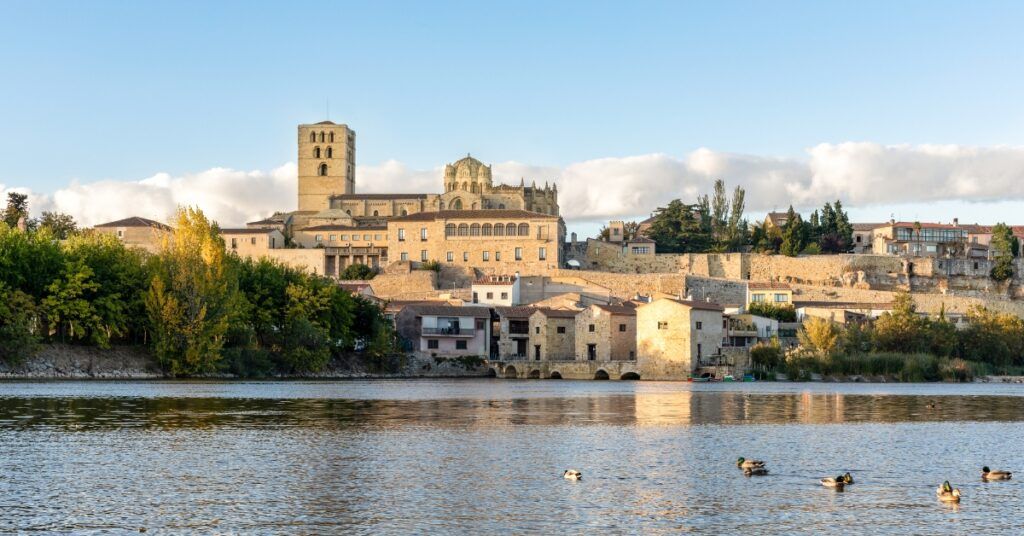 Mejores free tours por Zamora: imagen destacada