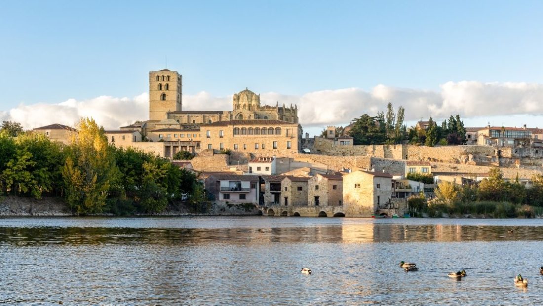 ▷ Los 3 MEJORES free tours por Zamora gratis y en español