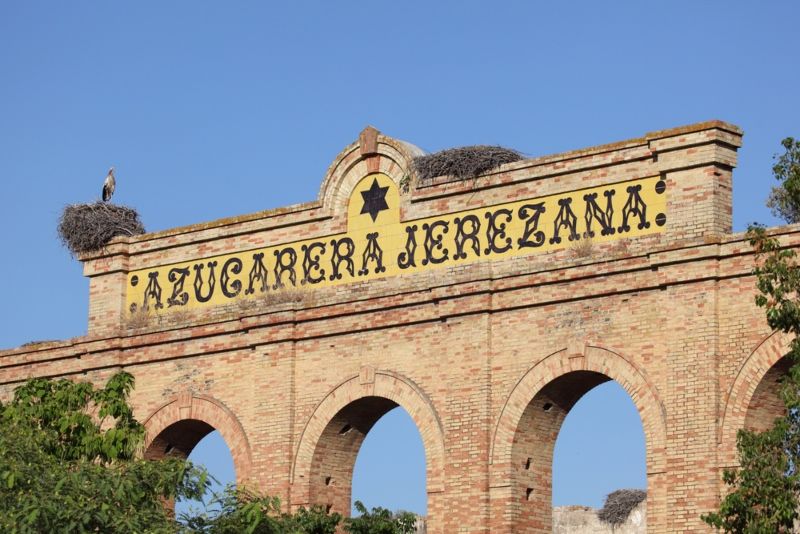 Mejores free tours por Jerez de la Frontera