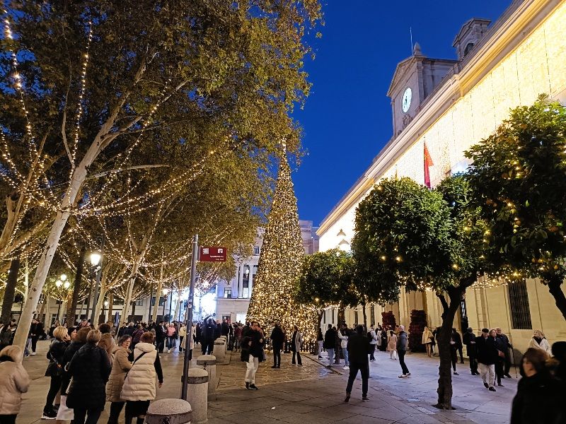 Sevilla en Navidad: árbol de Navidad en Plaza Nueva, junto al Ayuntamiento