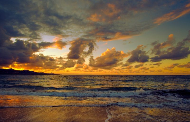 Mejores free tours por Las Palmas de Gran Canaria: Playa Las Canteras