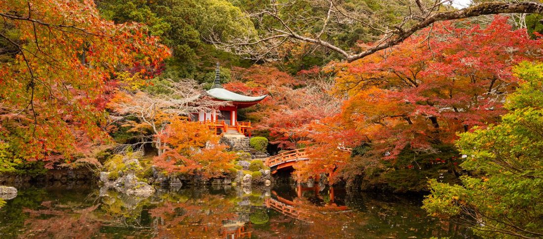 ▷ Mejor GUÍA de Japón: qué ver + itinerarios por día + mapas + precio