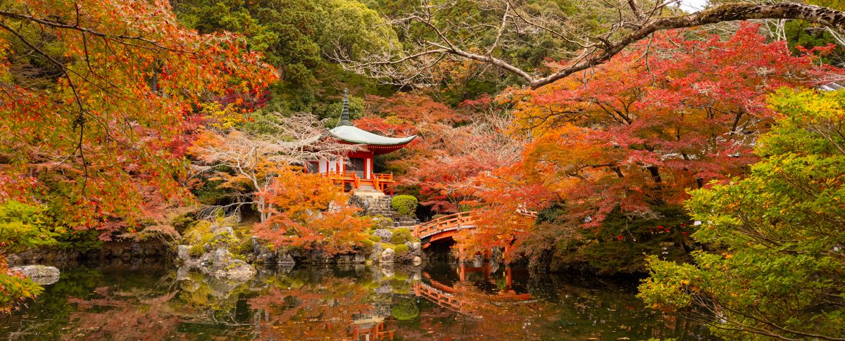 ▷ Los 3 MEJORES free tours por Kioto gratis y en español