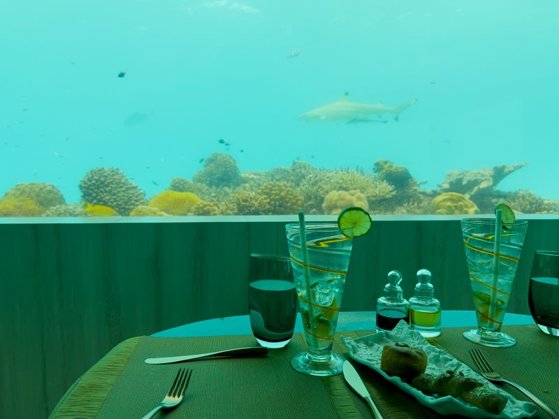 Hotel OZEN Life Maadhoo: M6M