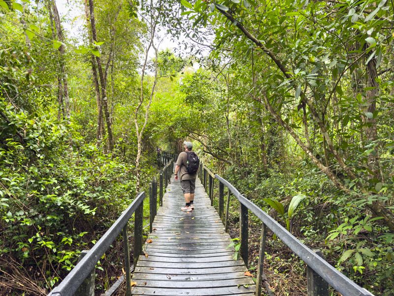 Viaje a Costa Rica por libre: Parque Nacional Cahuita