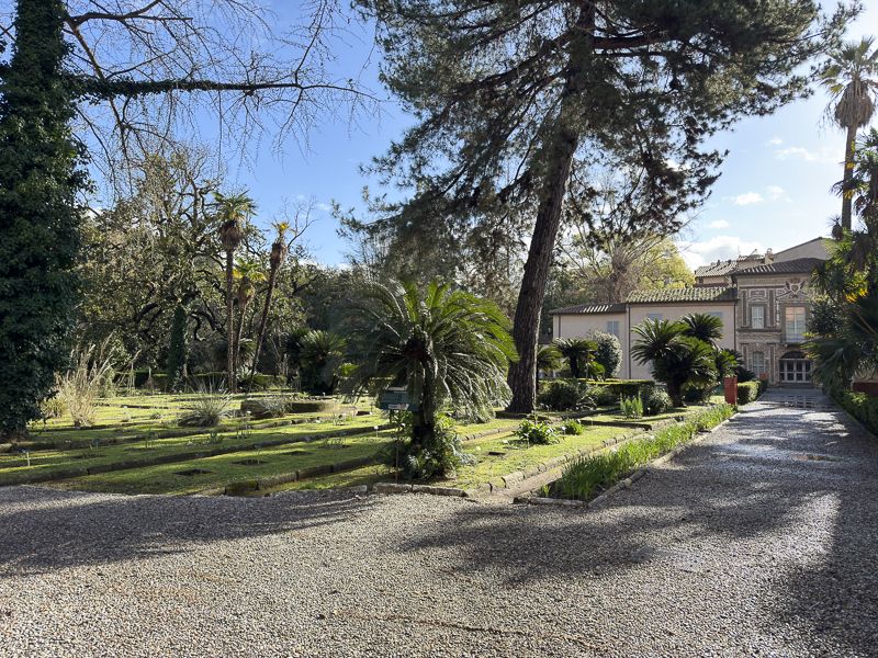 Qué ver en Pisa en un día: Jardín y Museo Botánico