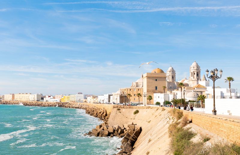Actividades para que humanos/as y perros/as conozcamos mejor la ciudad después de pasar por las playas para perros en Cádiz
