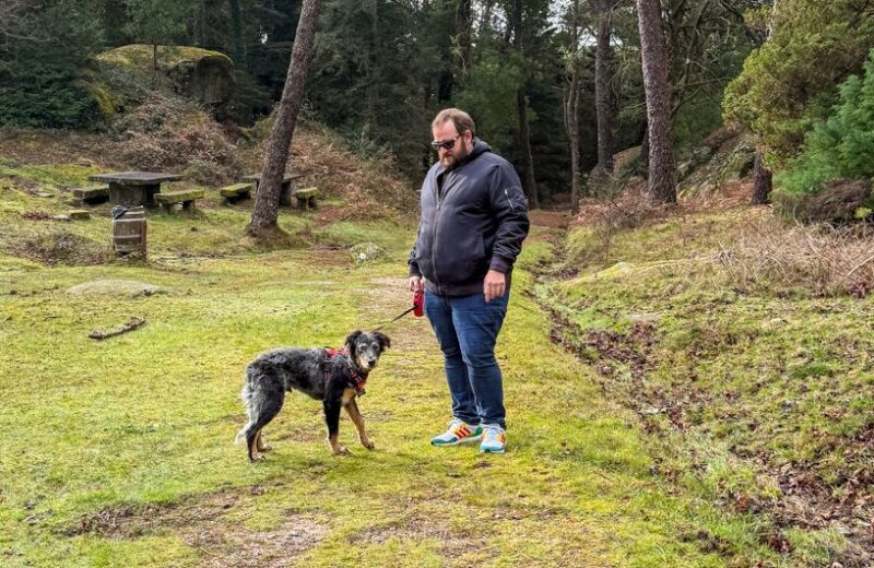 ▷ Descuento Barkibu 🙌🏻 Consigue el código promocional Barkibu de 25€ en el MEJOR seguro para perros