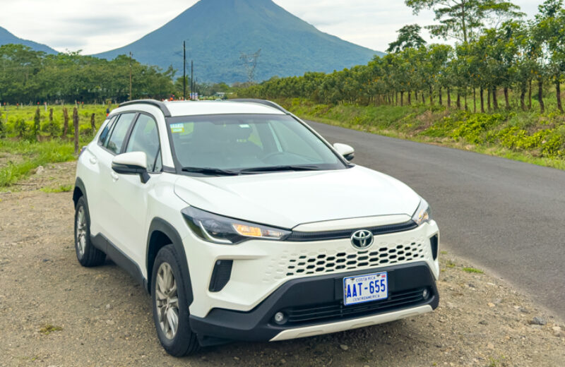 ▷ Descuento Rentalcars de hasta el 30% aquí: cómo conseguirlo y dónde utilizarlo ⚠️