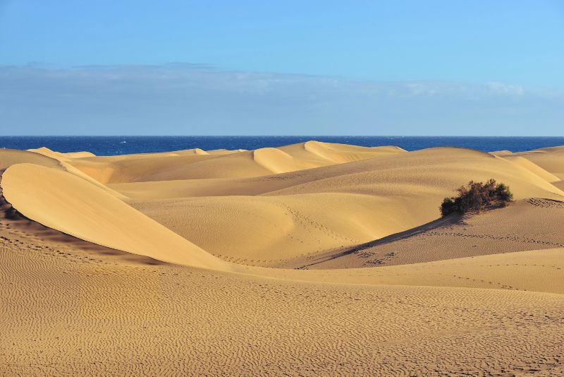 Dunas de Maspalomas, el desierto junto al mar que ver en Gran Canaria al menos una vez en la vida