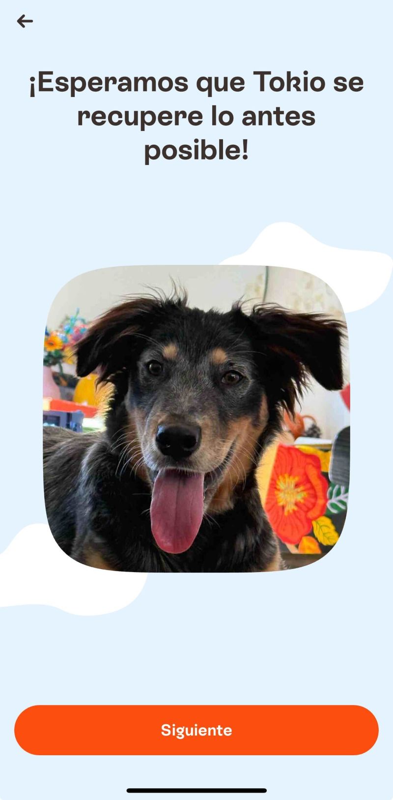 Barkibu código descuento: Tokio lo recomienda