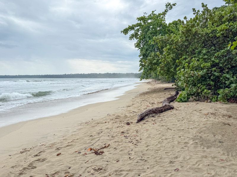 Viaje a Costa Rica por libre: Playa Blanca, Cahuita