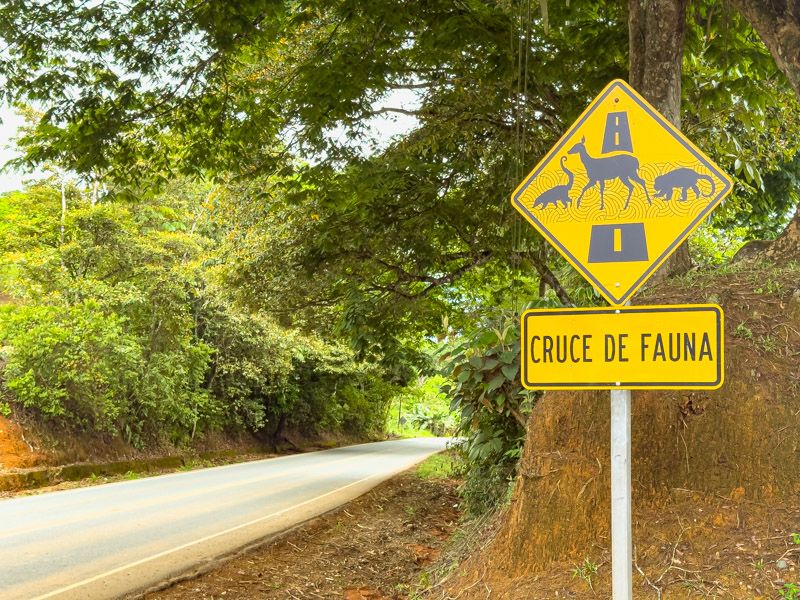 Alquilar coche en Costa Rica: Señal de cruce de fauna