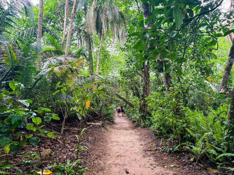 Viaje a Costa Rica por libre: Sendero del PN Cahuita