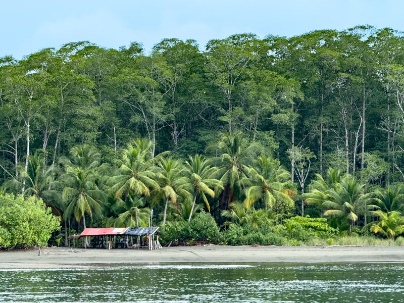 Viaje a Costa Rica por libre: Recorrido de Bahía Drake a Sierpe