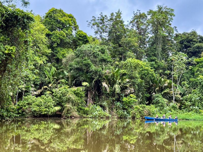 Qué ver en Costa Rica: Tortuguero