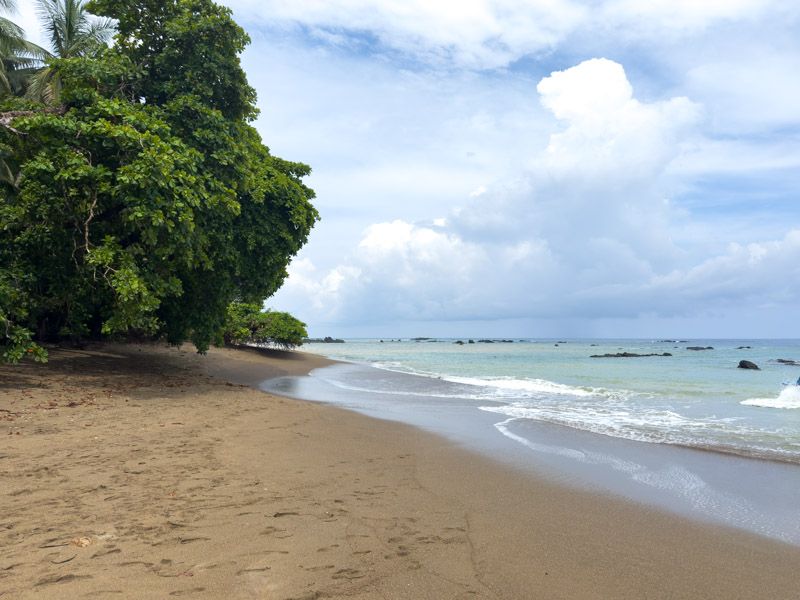 Viaje a Costa Rica por libre: Isla del Caño