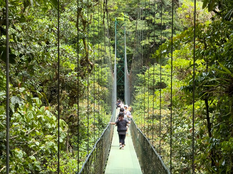 Qué ver en Costa Rica: Monteverde