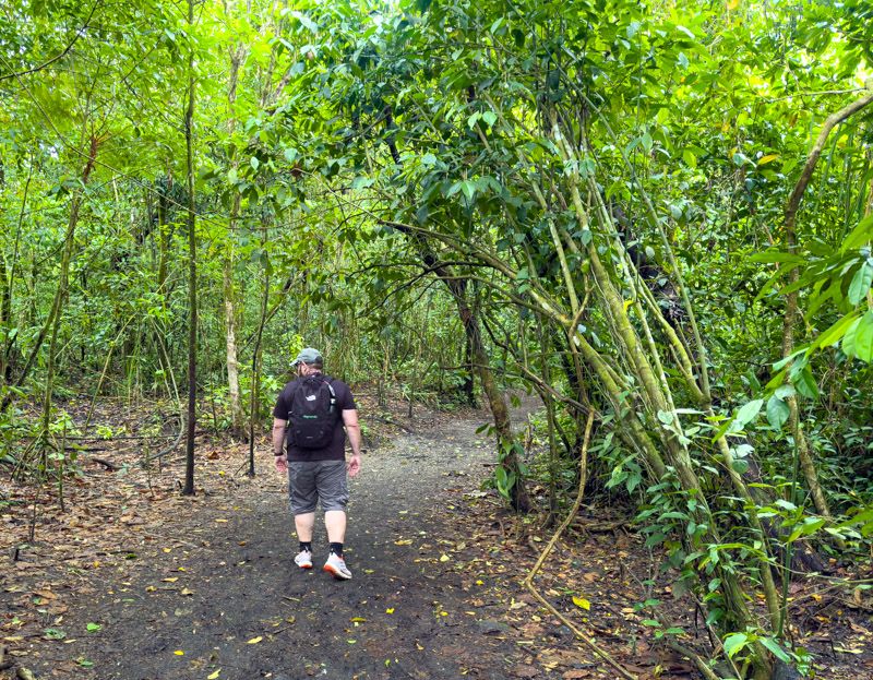 Viaje a Costa Rica por libre: PN Volcán Arenal