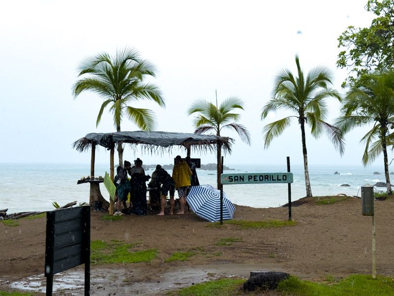 Viaje a Costa Rica por libre: Sector San Pedrillo