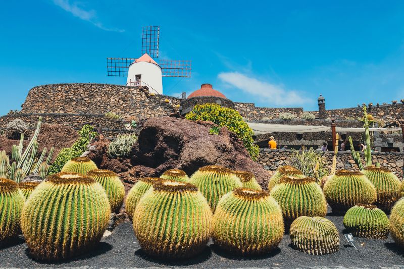 Jardín de Cactus, la parada más original que no puede faltar en los imprescindibles que ver en Lanzarote