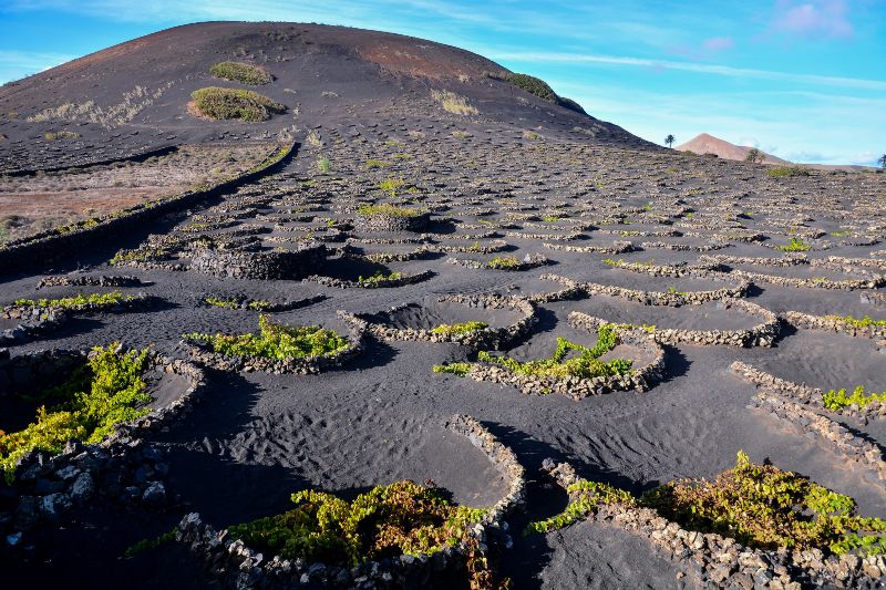 La Geria, el paisaje vinícola más bonito que ver en Lanzarote