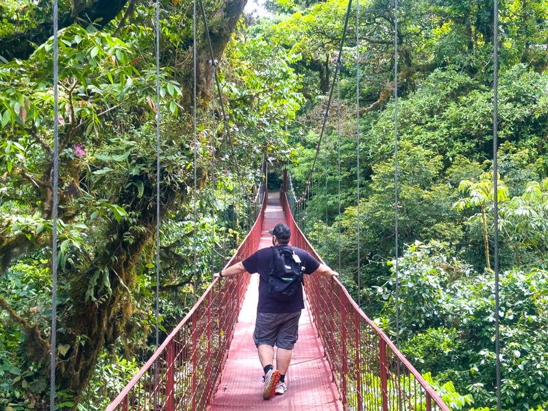 Viaje a Costa Rica por libre: Puente colgante