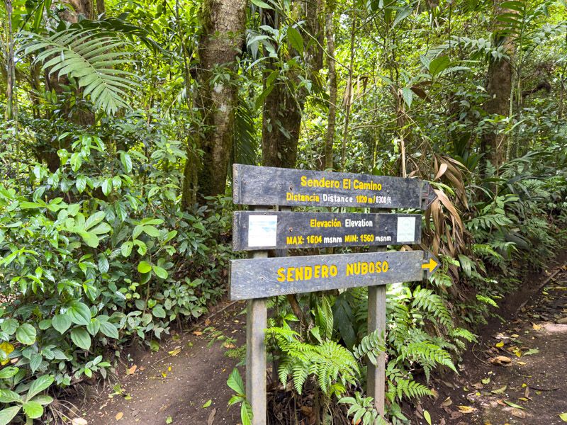 Viaje a Costa Rica por libre: Sendero