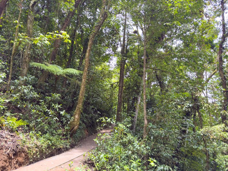 Viaje a Costa Rica por libre: Sendero