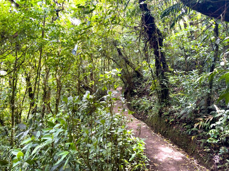 Viaje a Costa Rica por libre: Sendero
