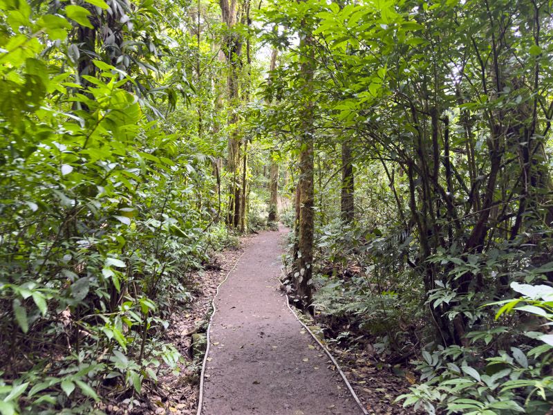Viaje a Costa Rica por libre: Sendero