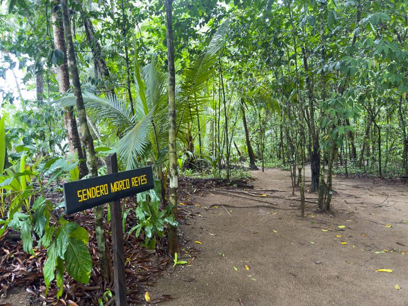 Viaje a Costa Rica por libre: Sendero del Corcovado