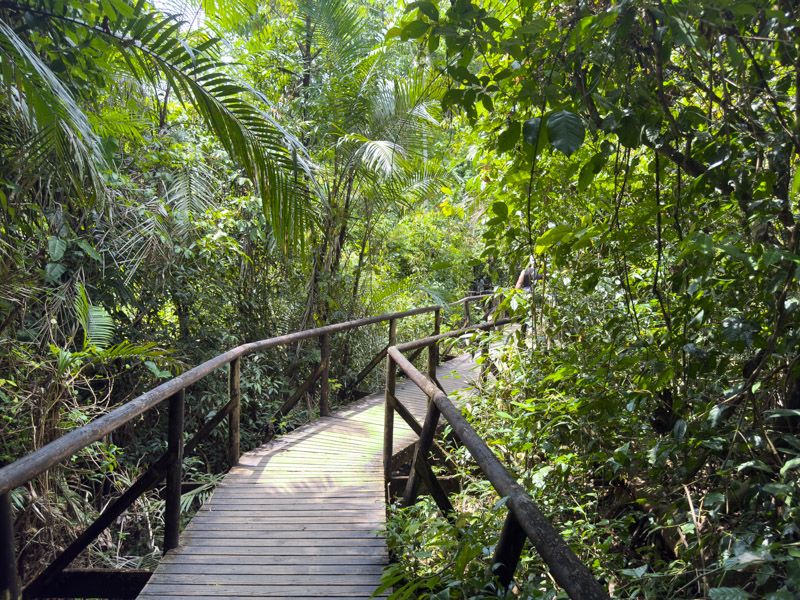 Viaje a Costa Rica por libre: Sendero de Manuel Antonio