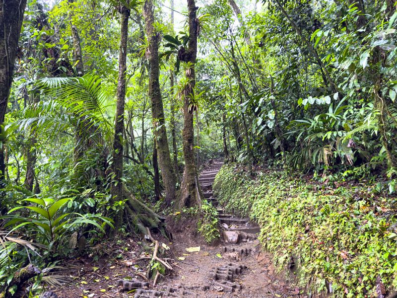 Viaje a Costa Rica por libre: Sendero en el PN Volcán Tenorio