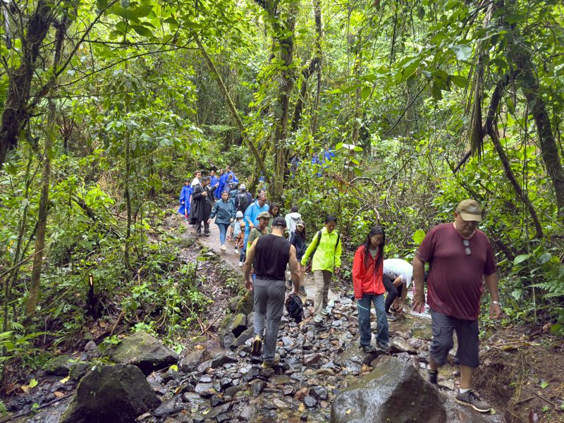 Viaje a Costa Rica por libre: Sendero en el PN Volcán Tenorio